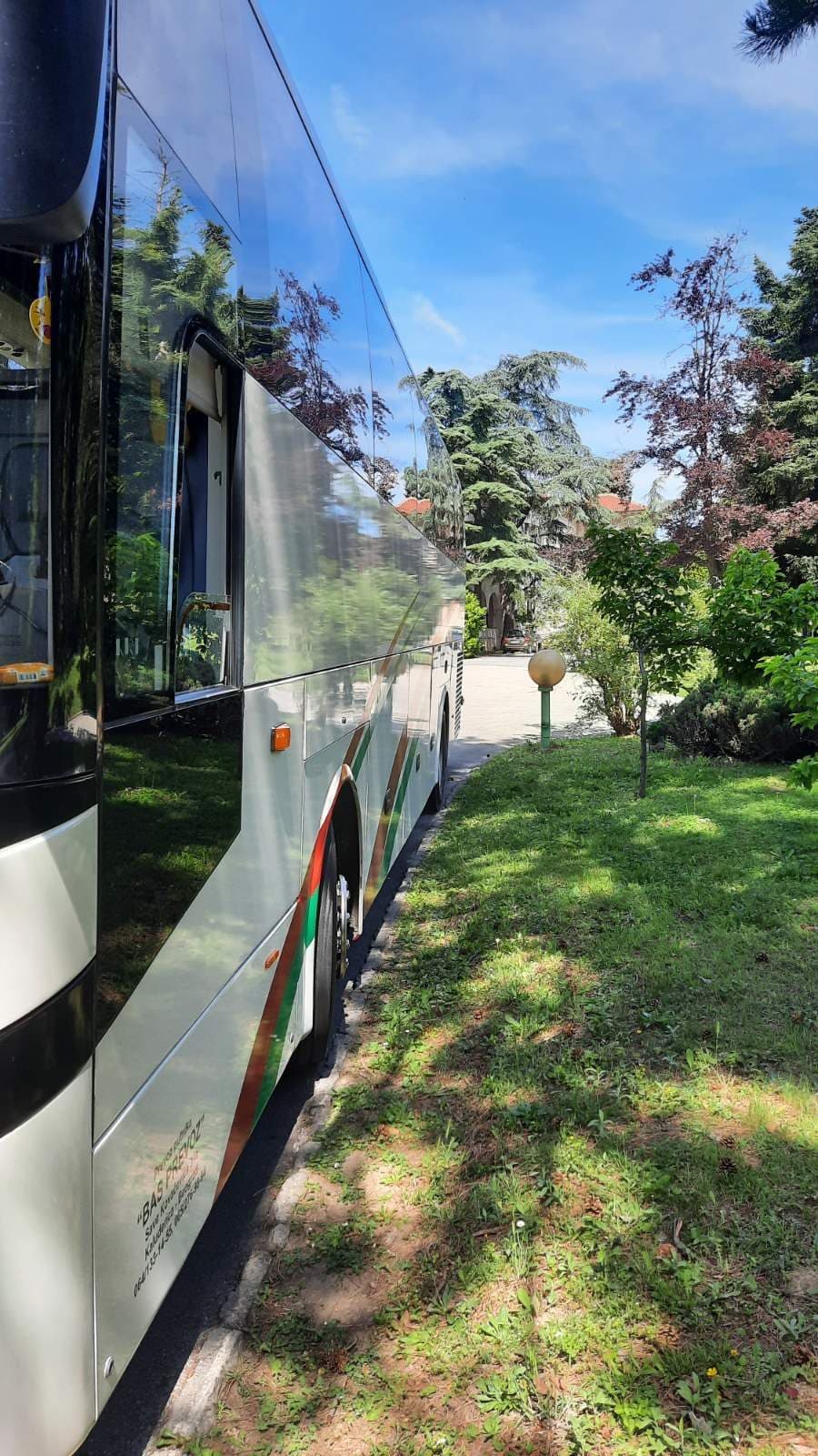Greenery reflected on the side of the coach