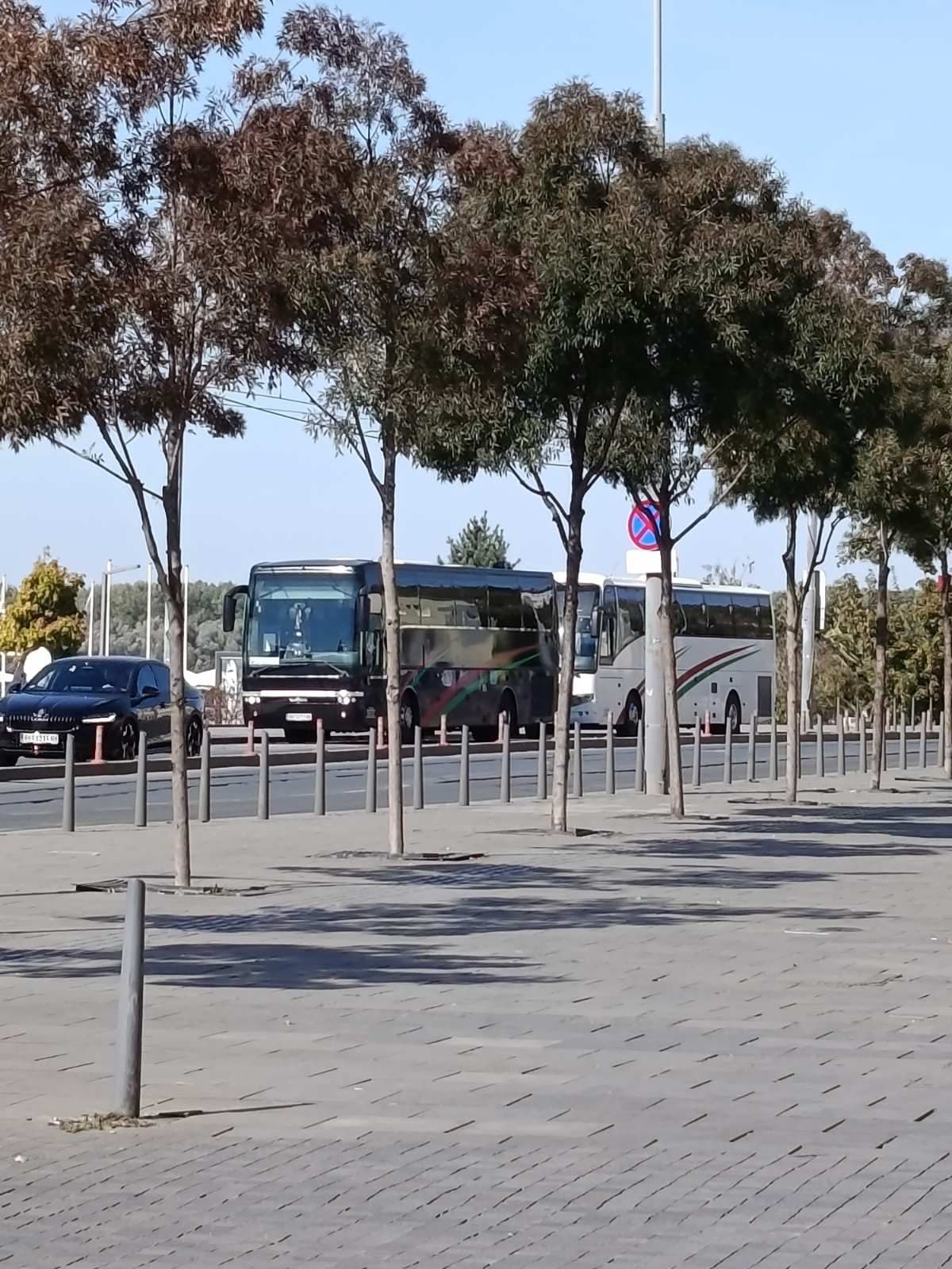 Black and white coaches behind a row of trees