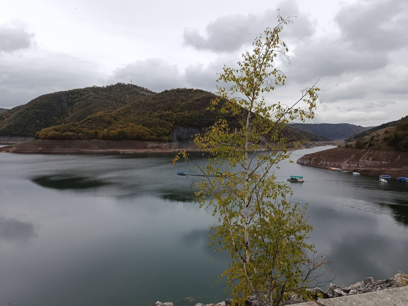 Lake Uvac with a birch tree in the foreground